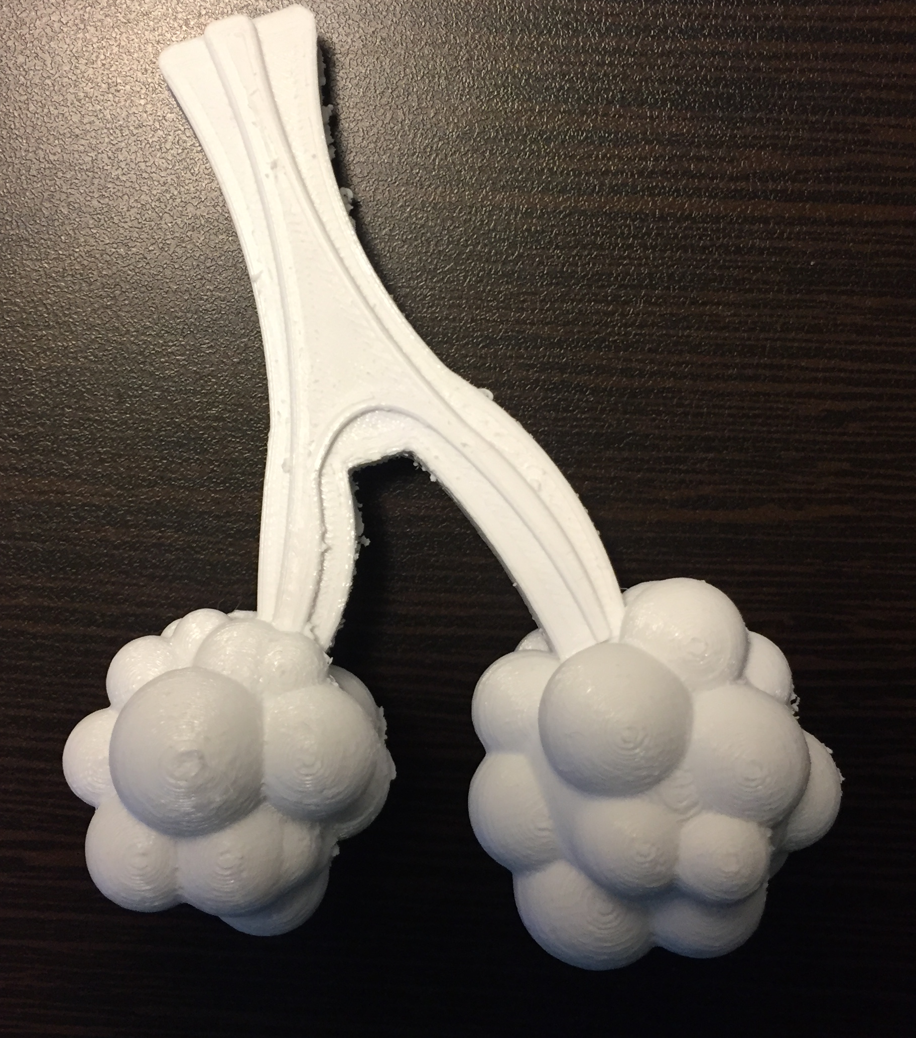 Biological Models