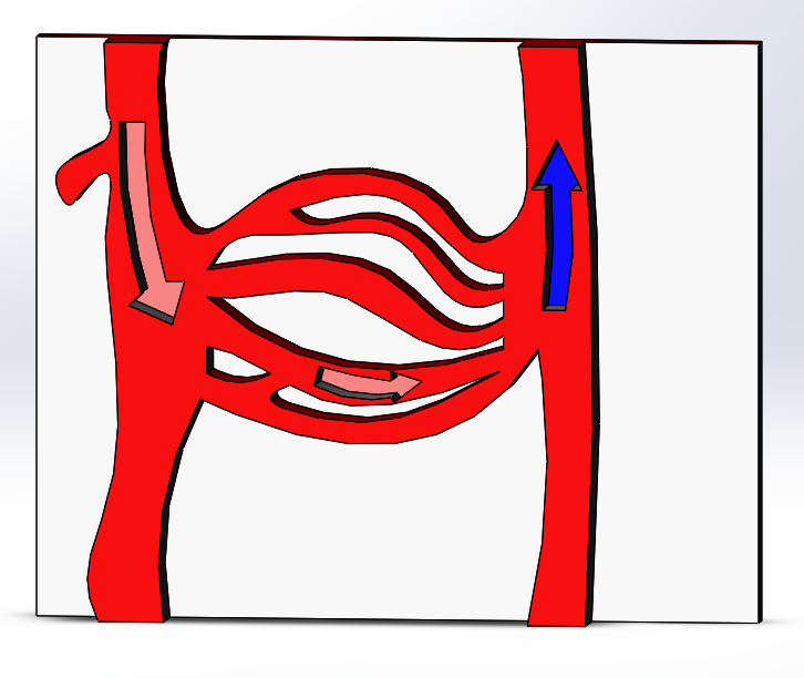 Biological Models