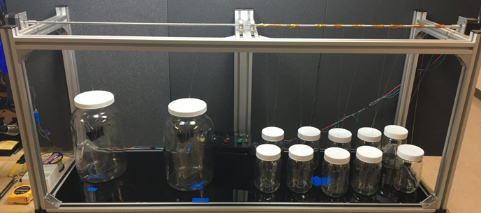 Biological Models